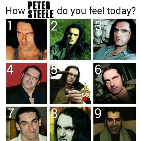 Meet your Posher, Liz - Picture 3 of 3